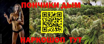 шишки Пугачёв
