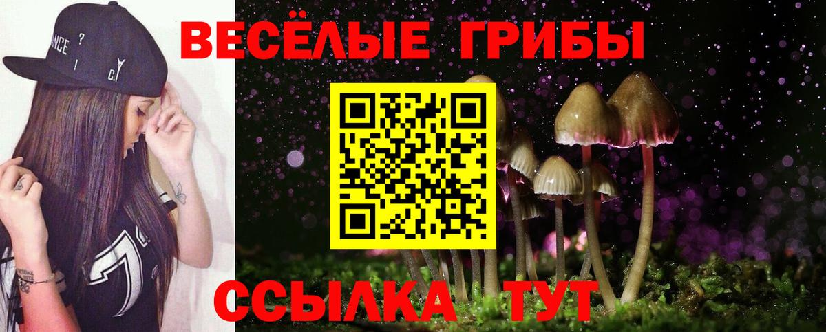 Галлюциногенные грибы прущие грибы Симферополь