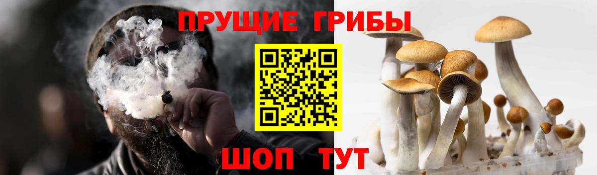 Галлюциногенные грибы Psilocybe  что такое наркотик  Симферополь  Вход с VPN  Псилоцибиновые грибы ЛСД 